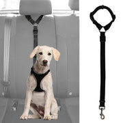 Pet Adjustable Seat Belt - Pet Paw Company