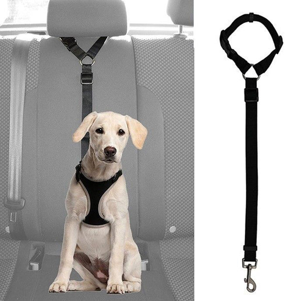 Pet Adjustable Seat Belt - Pet Paw Company