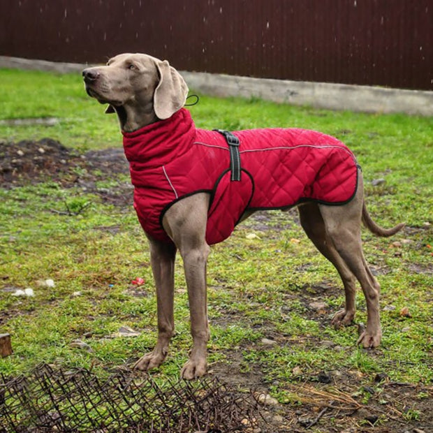 Pet Waterproof Jacket - Pet Paw Company
