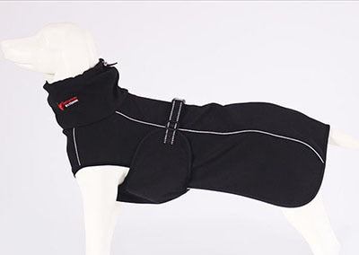 Pet Waterproof Jacket - Pet Paw Company