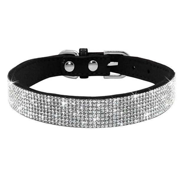 Bling Rhinestone Collar - Pet Paw Company
