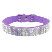 Bling Rhinestone Collar - Pet Paw Company