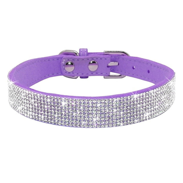 Bling Rhinestone Collar - Pet Paw Company