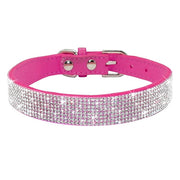 Bling Rhinestone Collar - Pet Paw Company