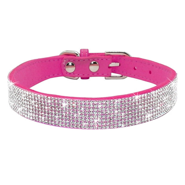 Bling Rhinestone Collar - Pet Paw Company