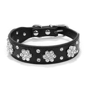 Bling Rhinestone Collar - Pet Paw Company
