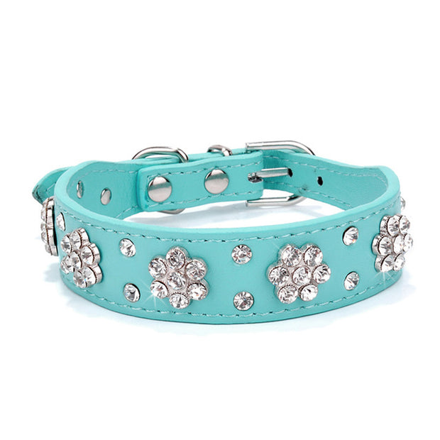 Bling Rhinestone Collar - Pet Paw Company