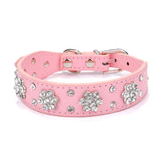 Bling Rhinestone Collar - Pet Paw Company