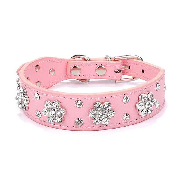 Bling Rhinestone Collar - Pet Paw Company