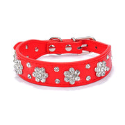 Bling Rhinestone Collar - Pet Paw Company