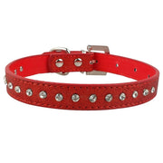 Bling Rhinestone Collar - Pet Paw Company