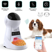 Automatic Pet Feeder - Pet Paw Company