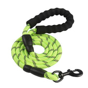 Reflective Long Dog Leash - Pet Paw Company