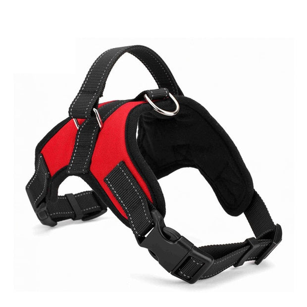 Adjustable Dog Harness - Pet Paw Company