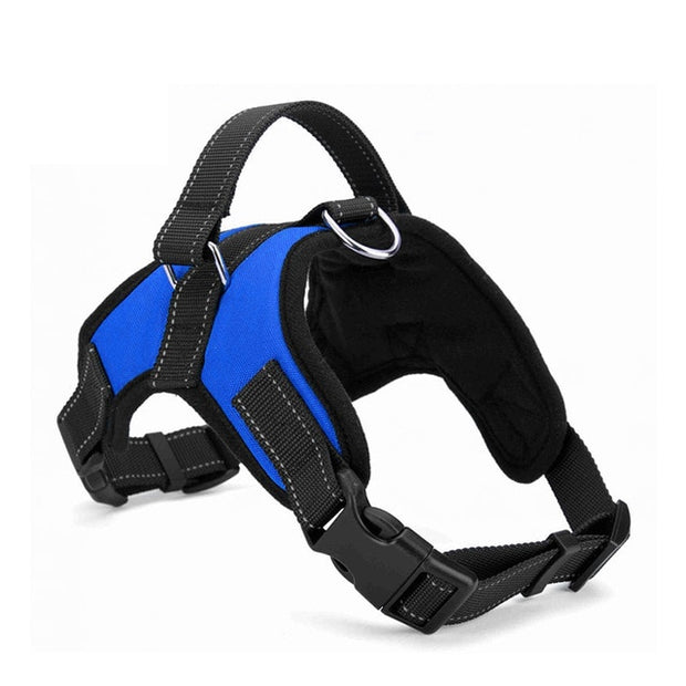 Adjustable Dog Harness - Pet Paw Company