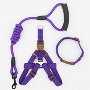 Collar and Harness Set - Pet Paw Company