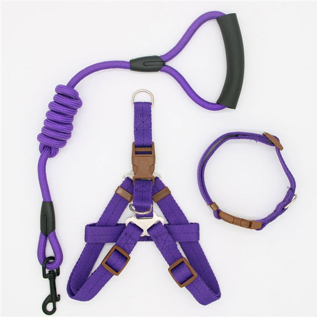 Collar and Harness Set - Pet Paw Company