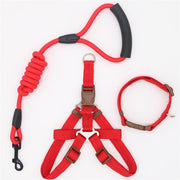 Collar and Harness Set - Pet Paw Company