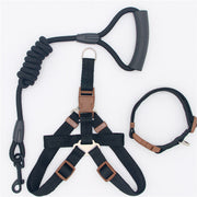 Collar and Harness Set - Pet Paw Company