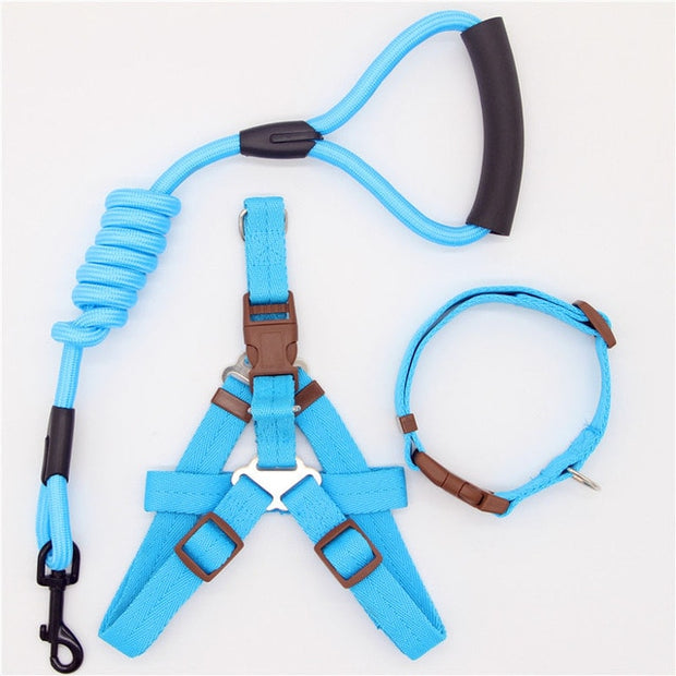 Collar and Harness Set - Pet Paw Company