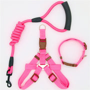 Collar and Harness Set - Pet Paw Company