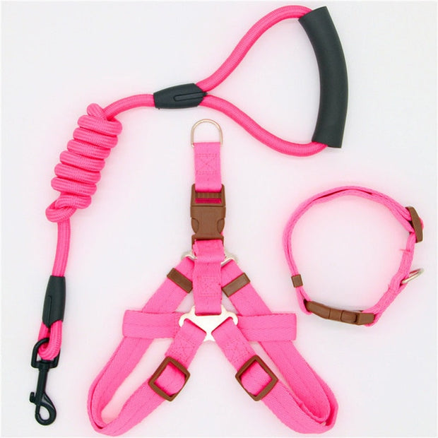 Collar and Harness Set - Pet Paw Company