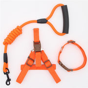 Collar and Harness Set - Pet Paw Company