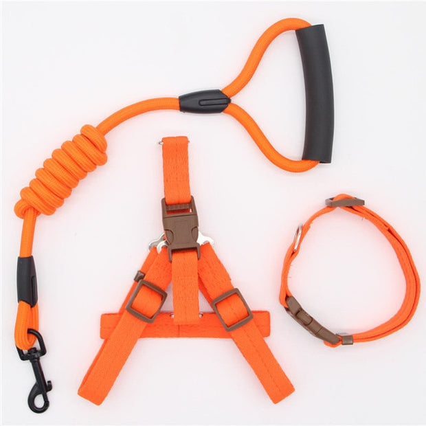 Collar and Harness Set - Pet Paw Company