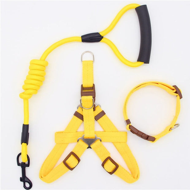 Collar and Harness Set - Pet Paw Company