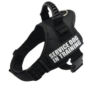 Reflective Adjustable Dog Harness - Pet Paw Company