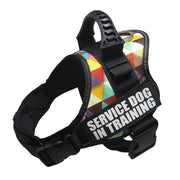 Reflective Adjustable Dog Harness - Pet Paw Company
