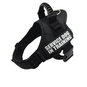 Reflective Adjustable Dog Harness - Pet Paw Company