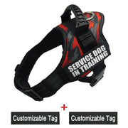 Reflective Adjustable Dog Harness - Pet Paw Company