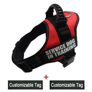 Reflective Adjustable Dog Harness - Pet Paw Company