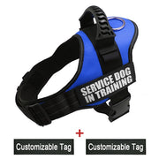 Reflective Adjustable Dog Harness - Pet Paw Company