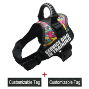 Reflective Adjustable Dog Harness - Pet Paw Company
