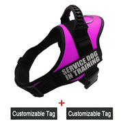 Reflective Adjustable Dog Harness - Pet Paw Company