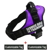 Reflective Adjustable Dog Harness - Pet Paw Company