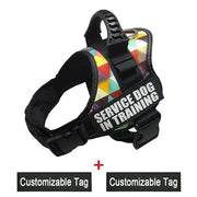 Reflective Adjustable Dog Harness - Pet Paw Company
