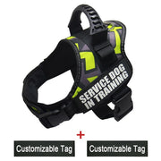 Reflective Adjustable Dog Harness - Pet Paw Company