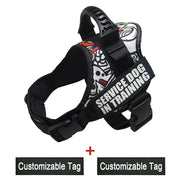 Reflective Adjustable Dog Harness - Pet Paw Company